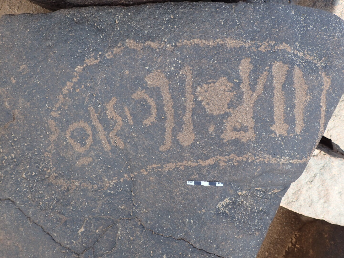 P4221010.jpg