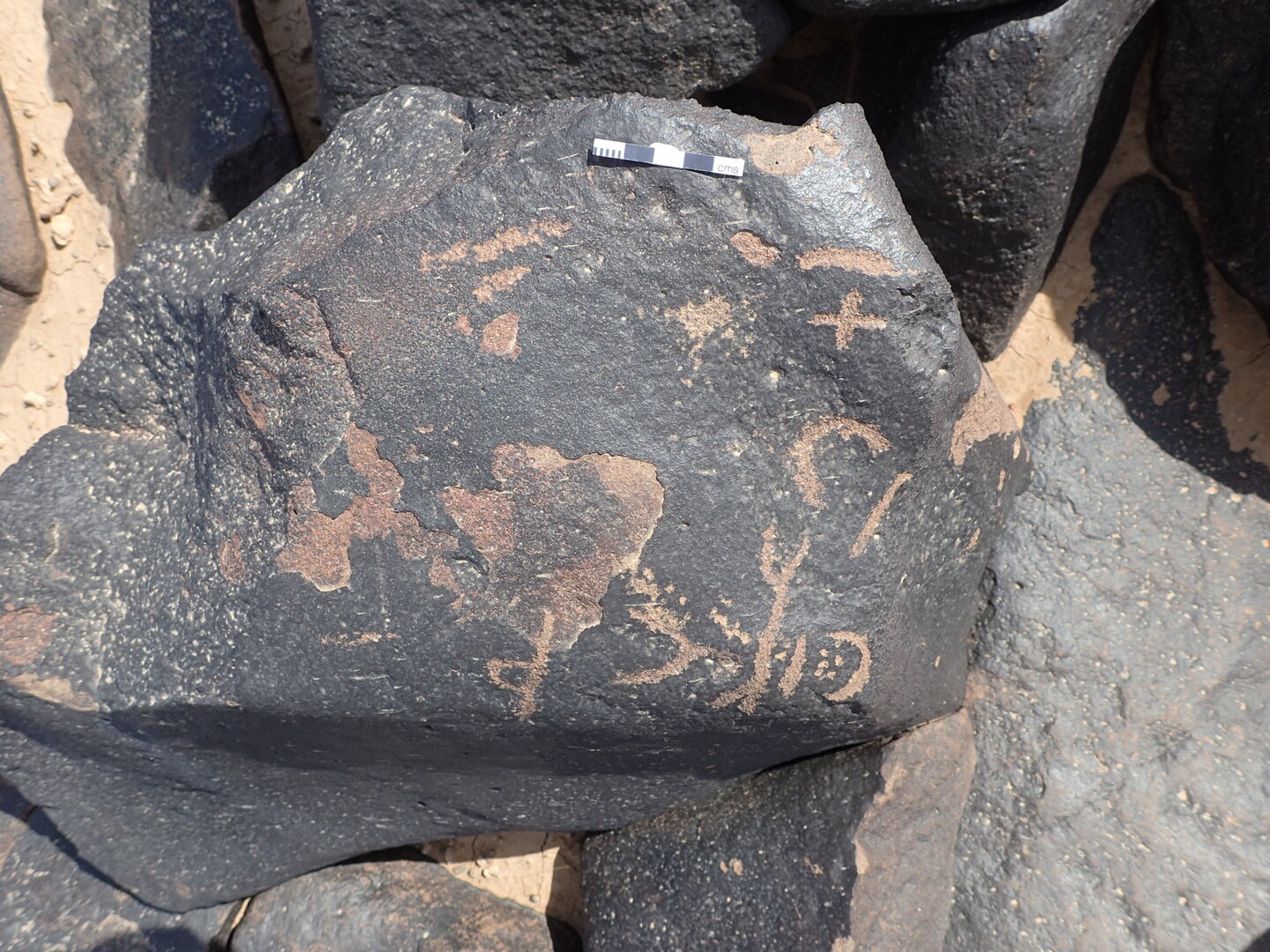 P4221017.jpg