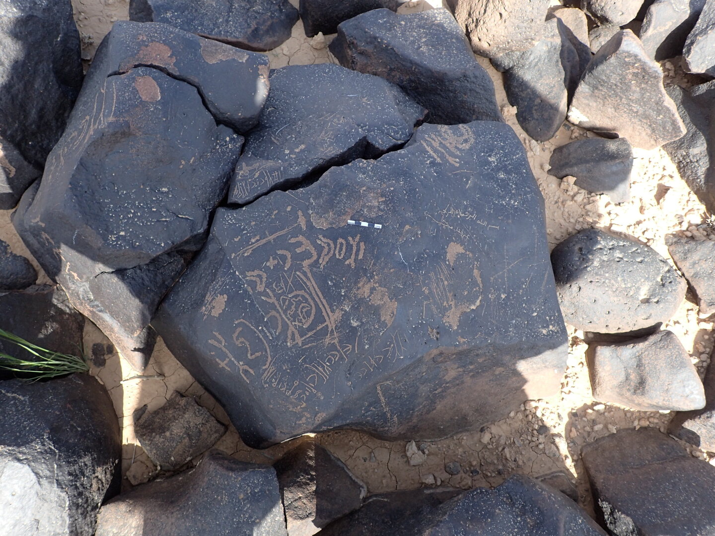 P4221022.jpg