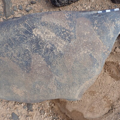 P4221037.jpg