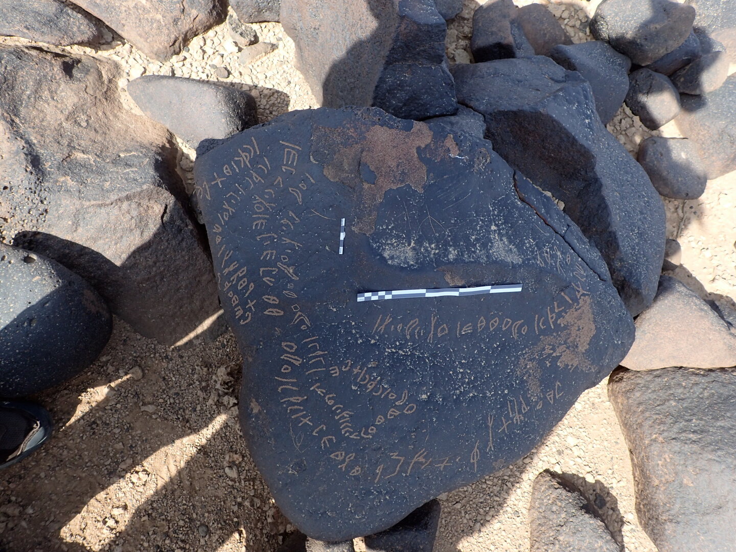 P4221047.jpg