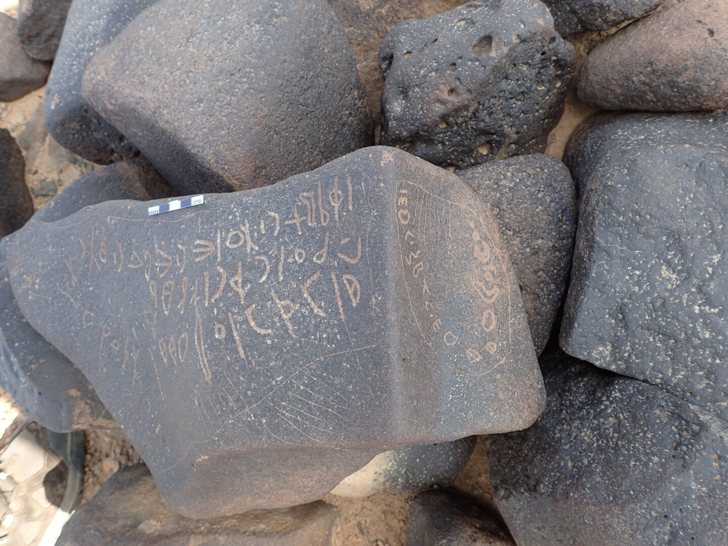 P4221070.jpg