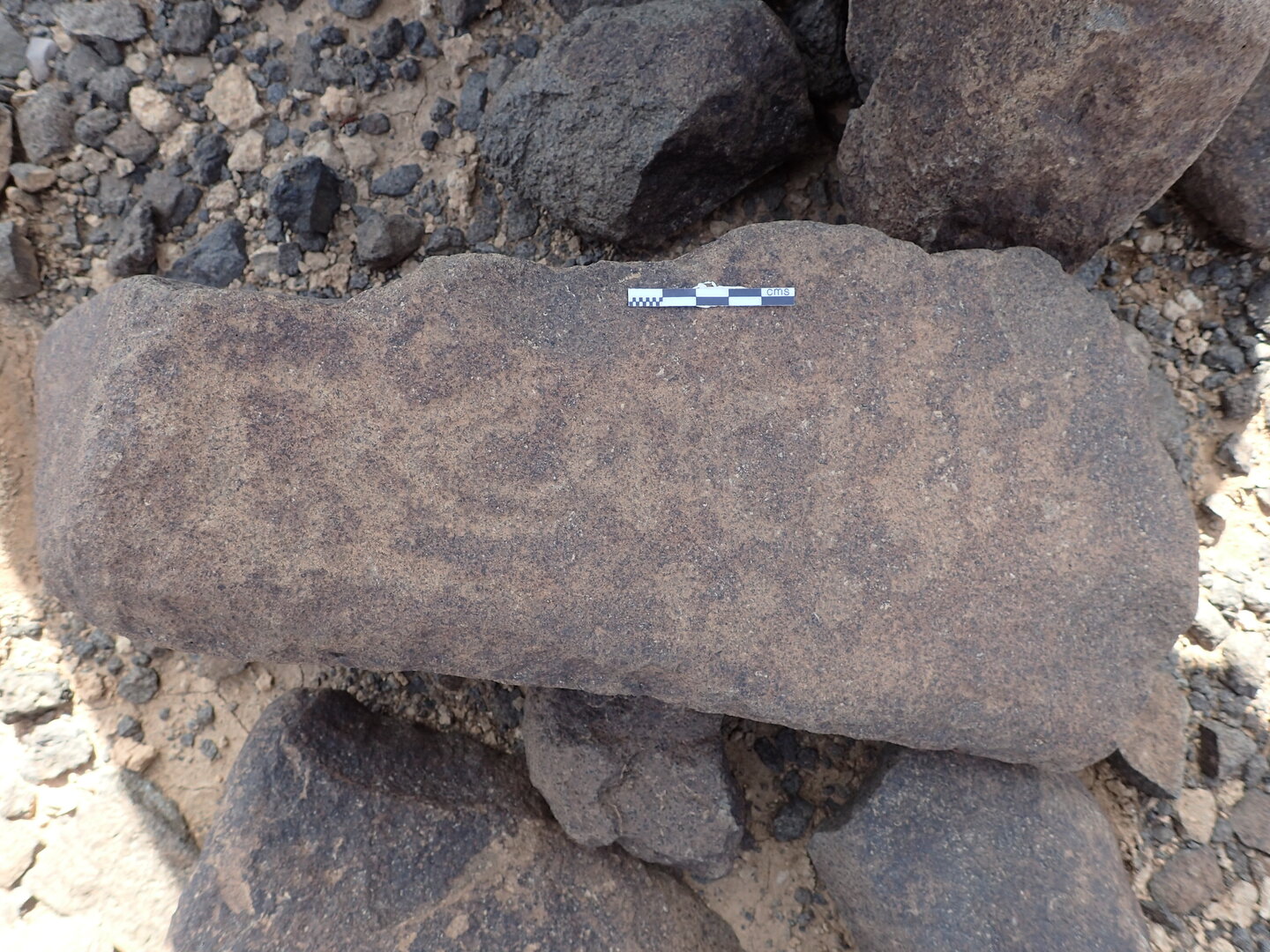 P4220177.jpg