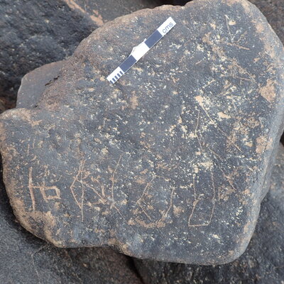 P4221113.jpg