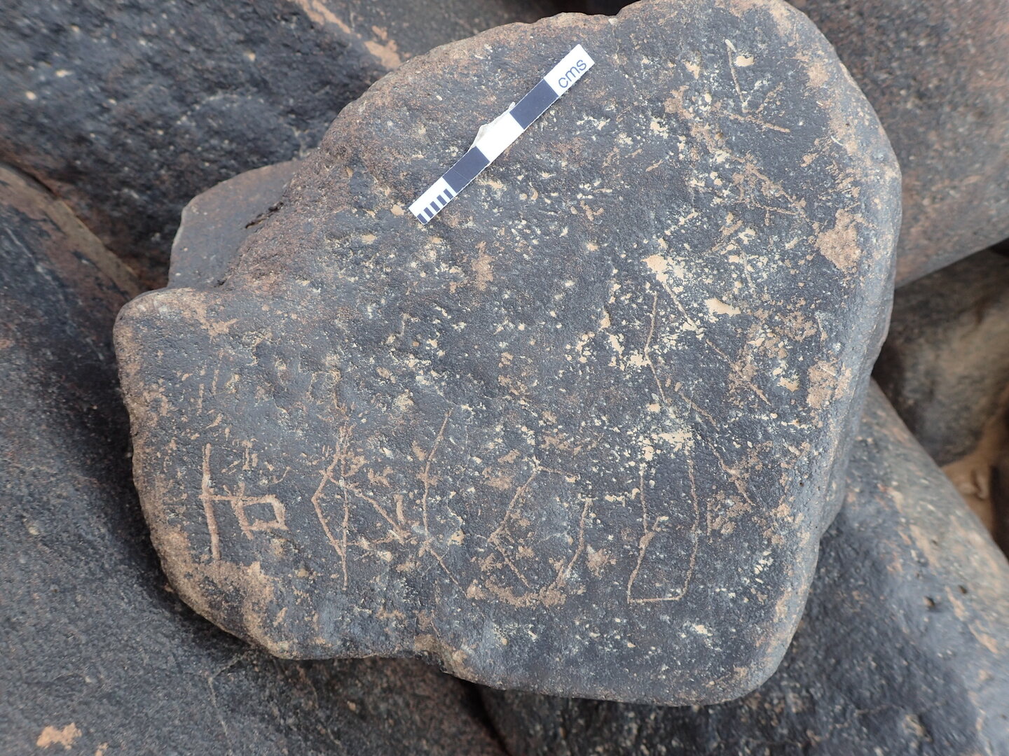 P4221113.jpg