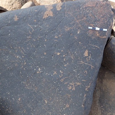 P4221163.jpg