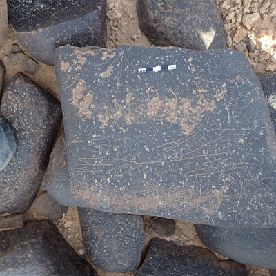 P4221206.jpg