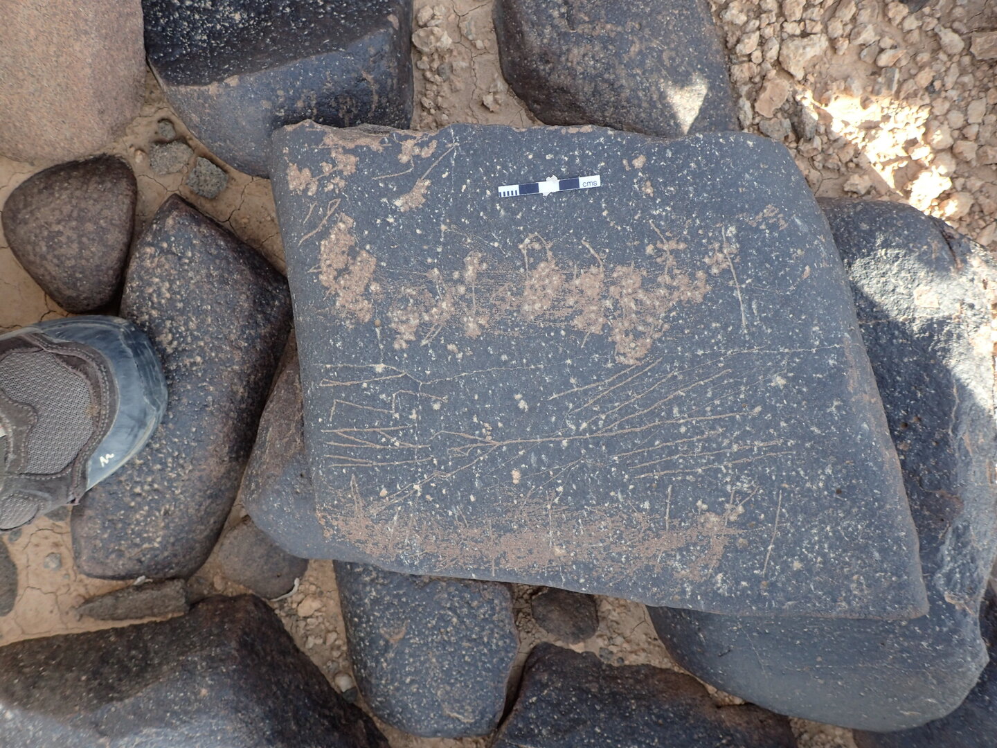 P4221206.jpg