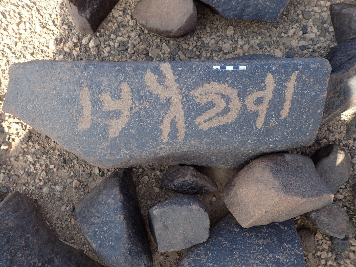 P4221245.jpg