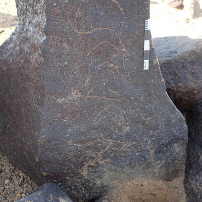 P4221246.jpg