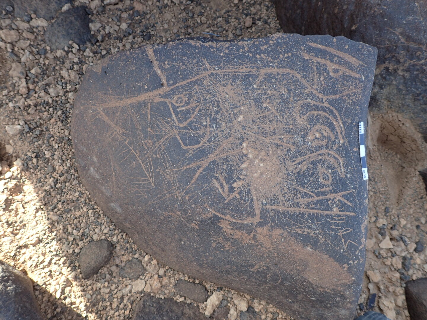 P4221248.jpg