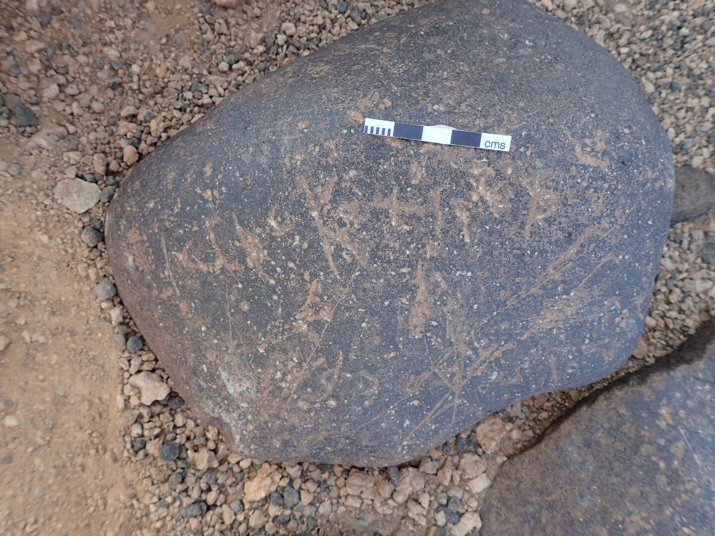 P4221255.jpg