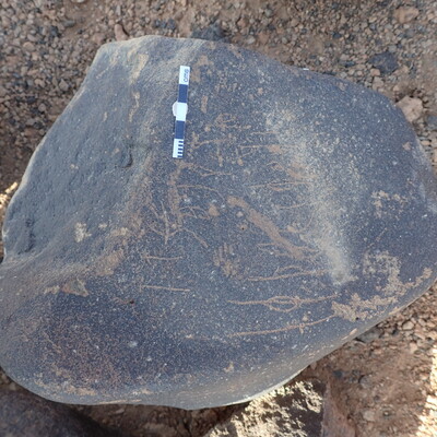 P4221273.jpg