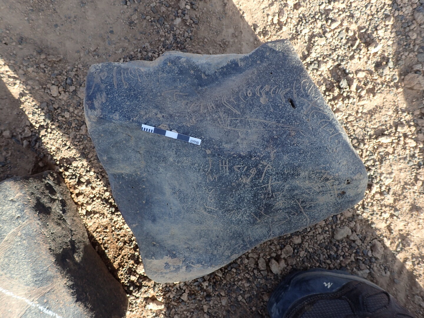 P4221282.jpg
