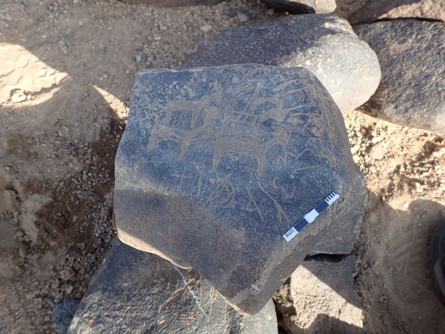 P4221295.jpg