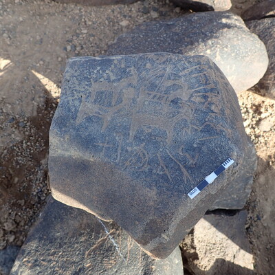 P4221295.jpg