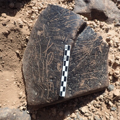 P4230037.jpg