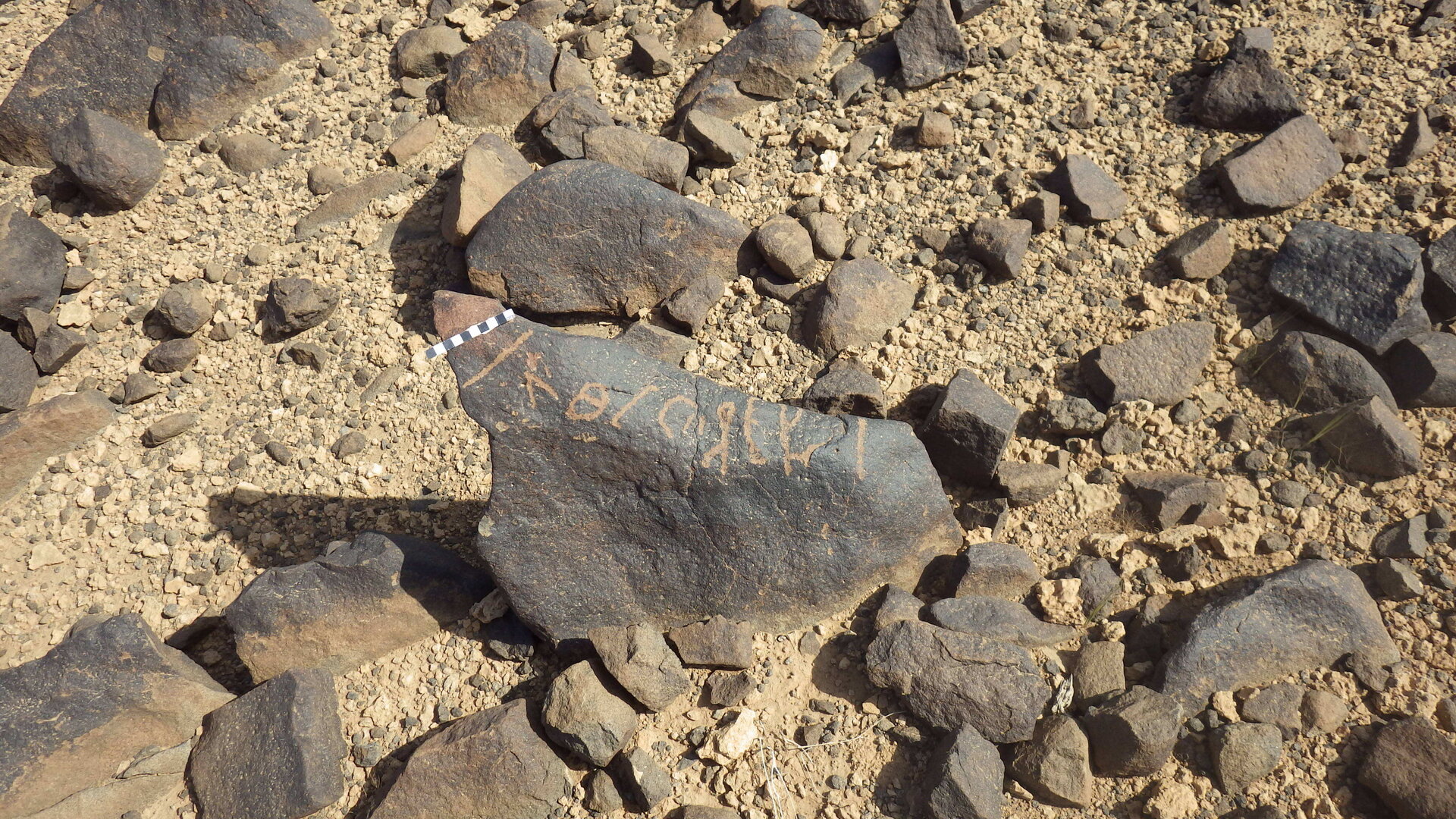 Rimg3676.jpg