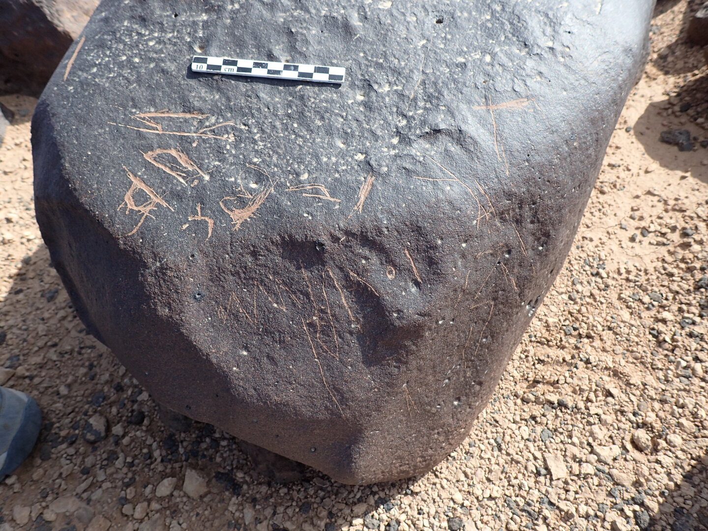 P4230064.jpg