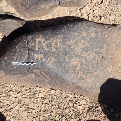 P4230104.jpg