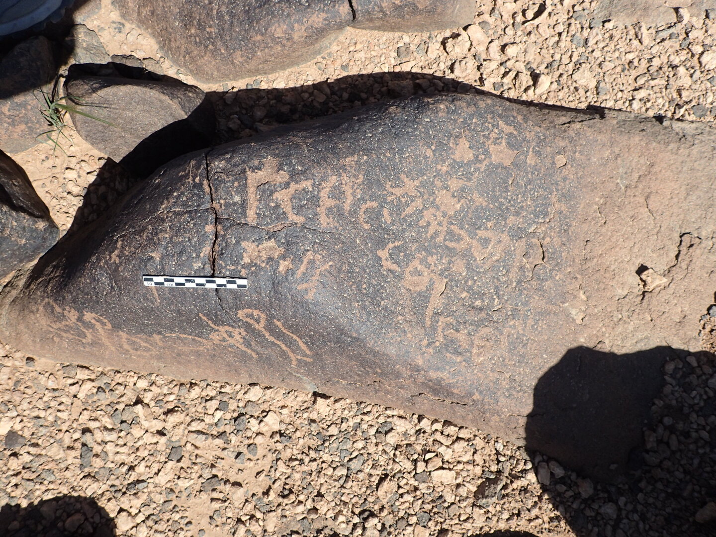 P4230104.jpg