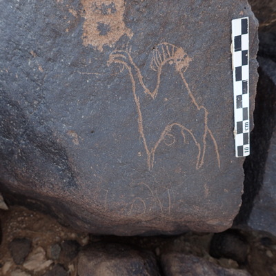 P4230115.jpg