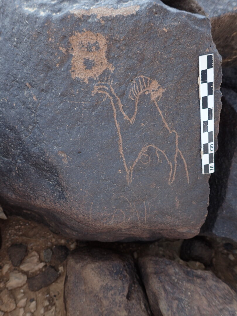 P4230115.jpg