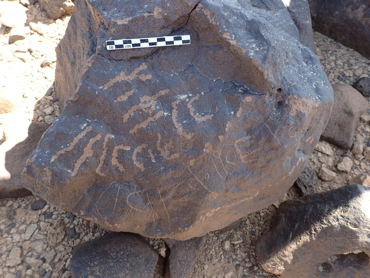 P4230123.jpg
