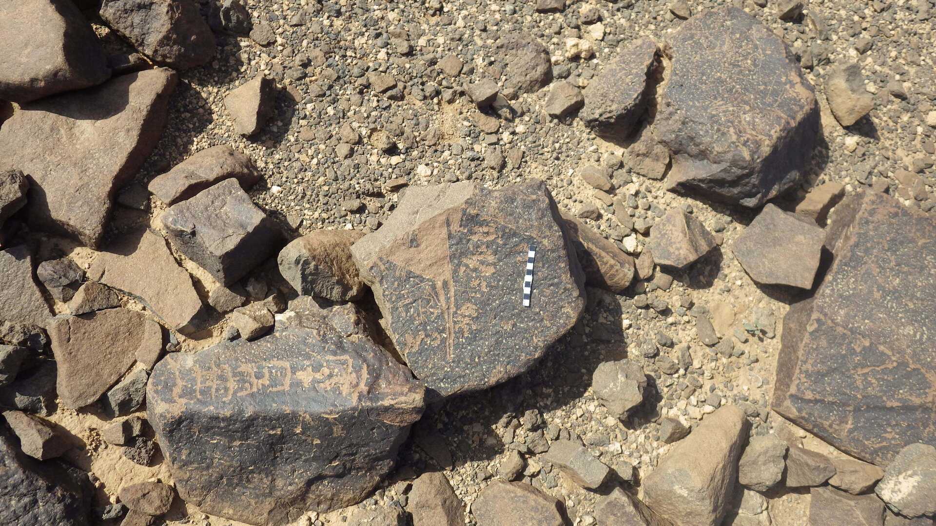 Rimg3682.jpg