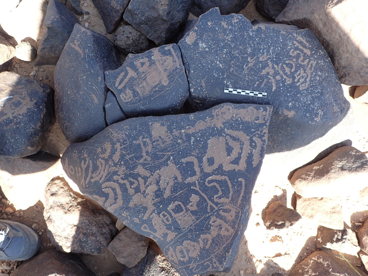 P4230135.jpg