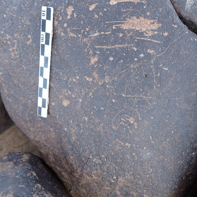 P4230146.jpg