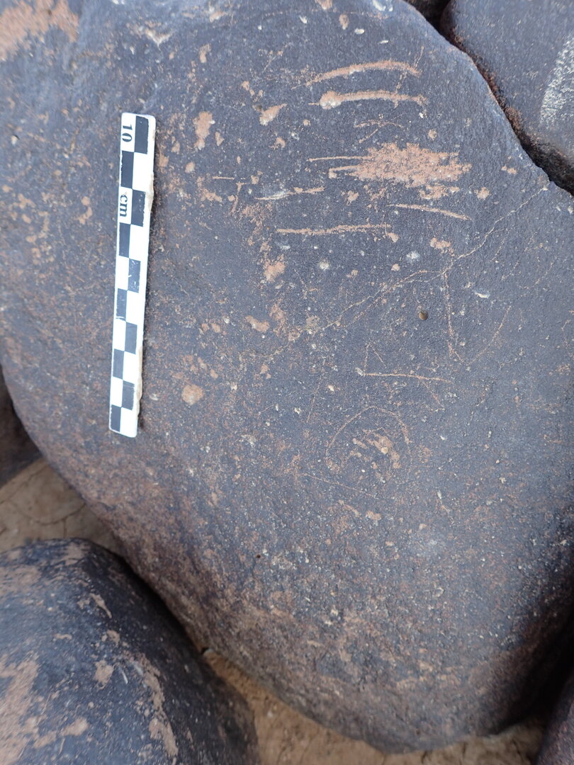 P4230146.jpg