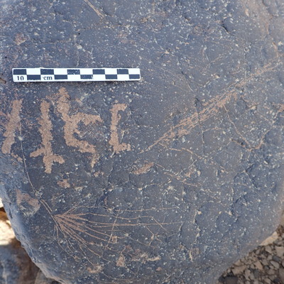 P4230149.jpg