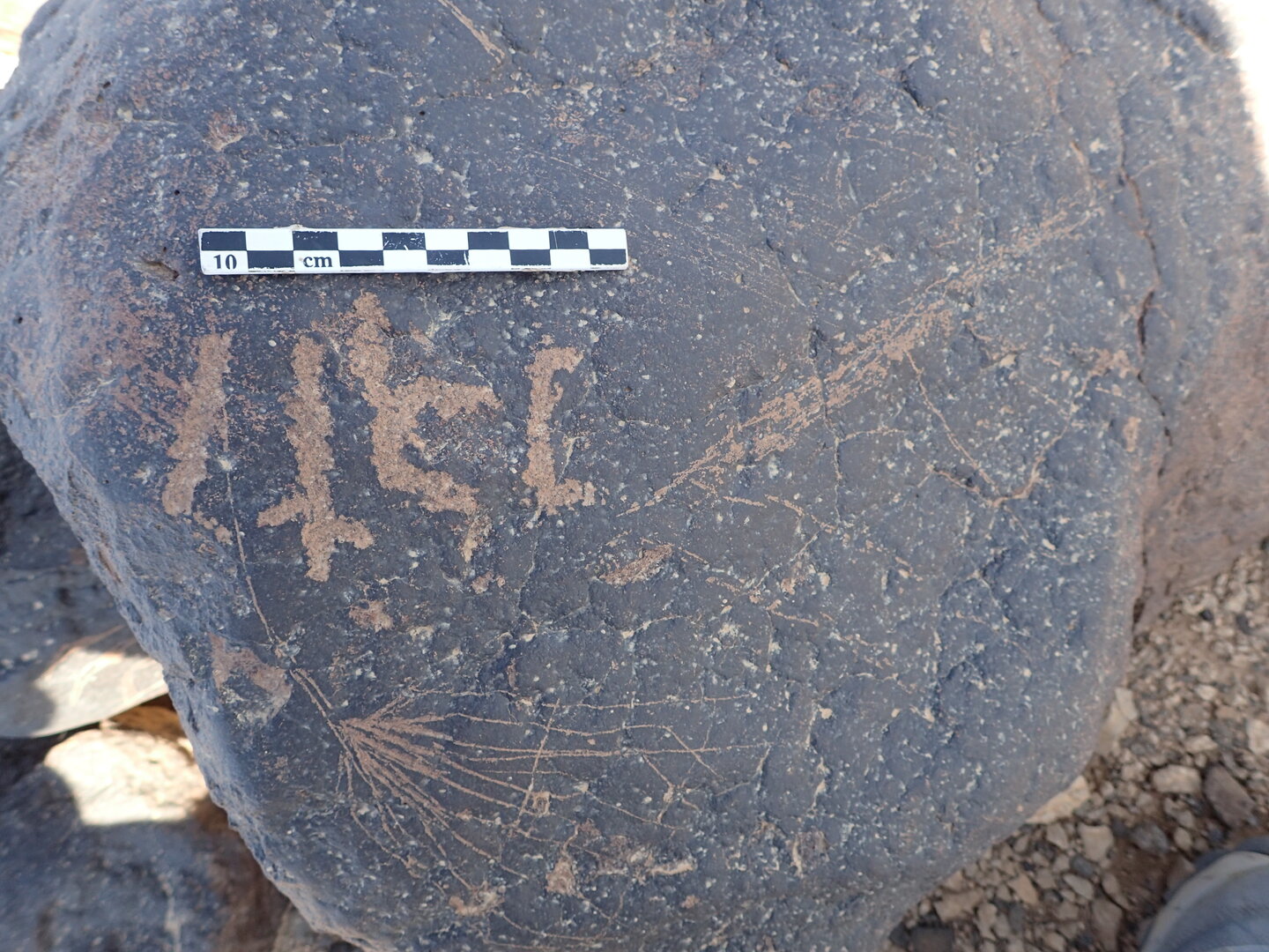 P4230149.jpg