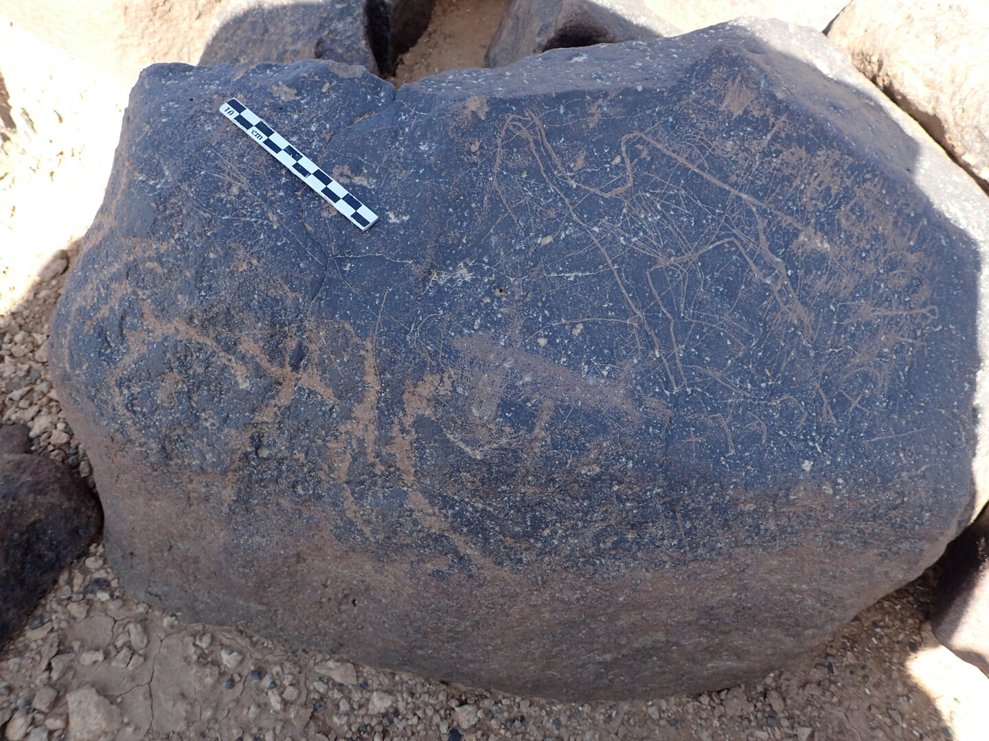 P4230163.jpg