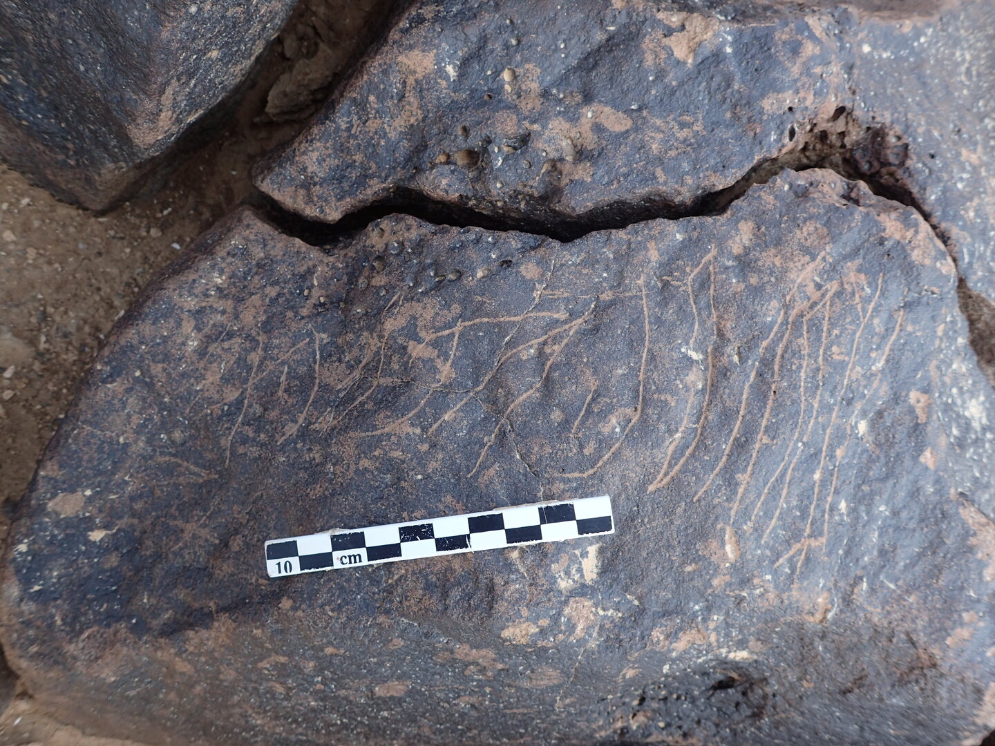 P4230173.jpg