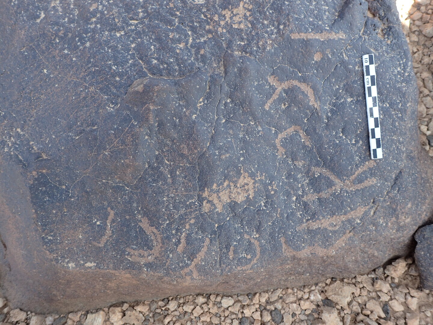 P4230180.jpg