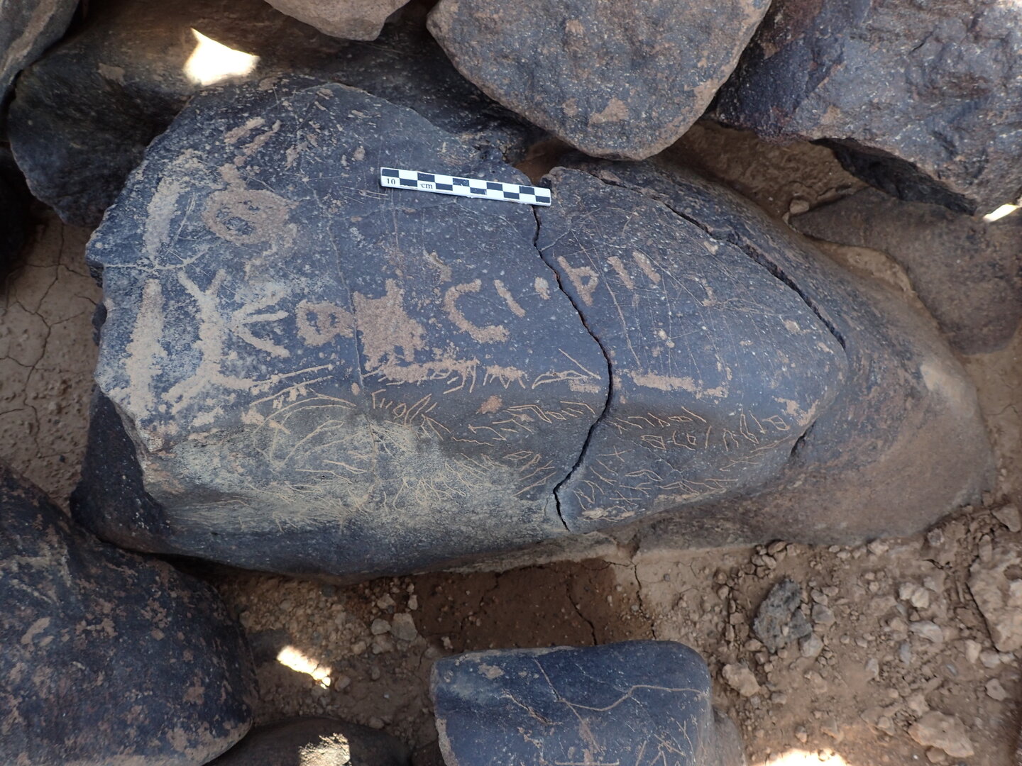 P4230225.jpg
