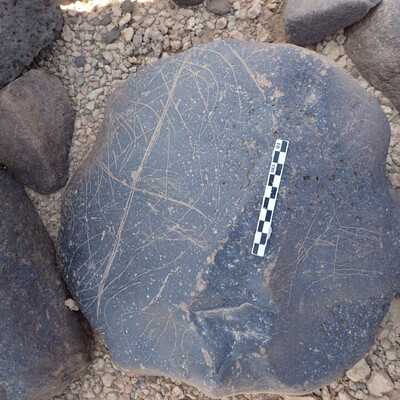 P4230237.jpg