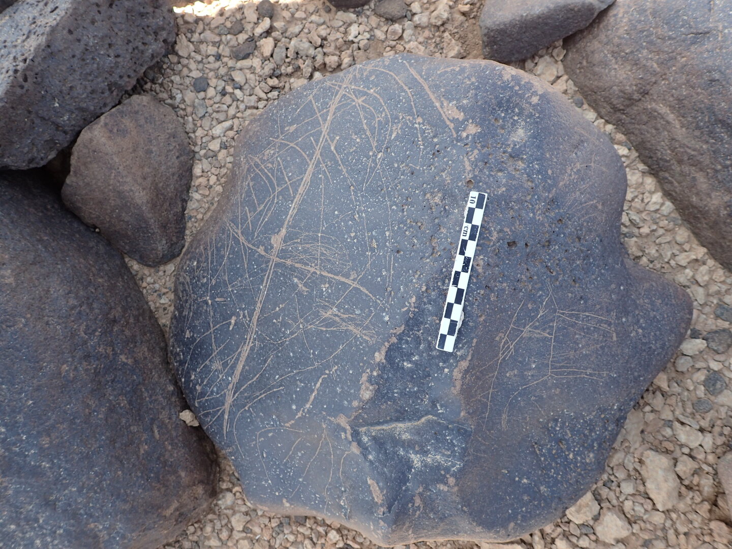 P4230237.jpg