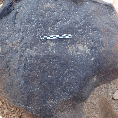 P4230244.jpg
