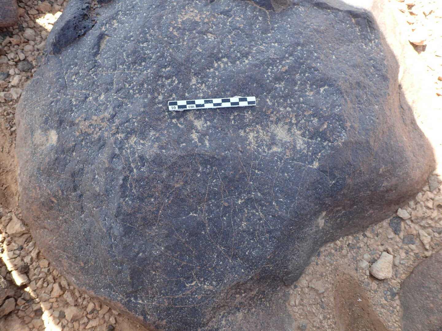 P4230244.jpg