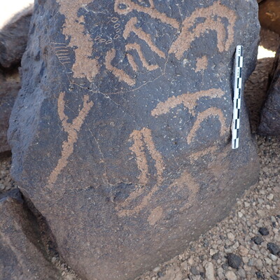 P4230256.jpg