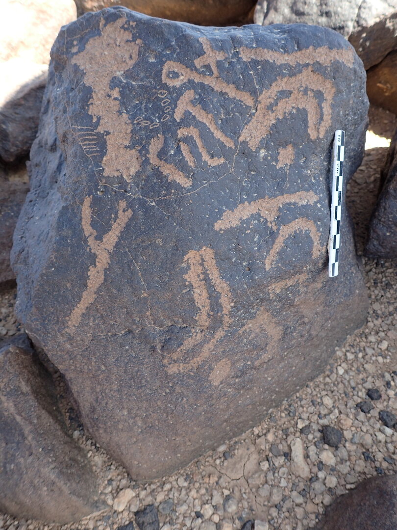 P4230256.jpg