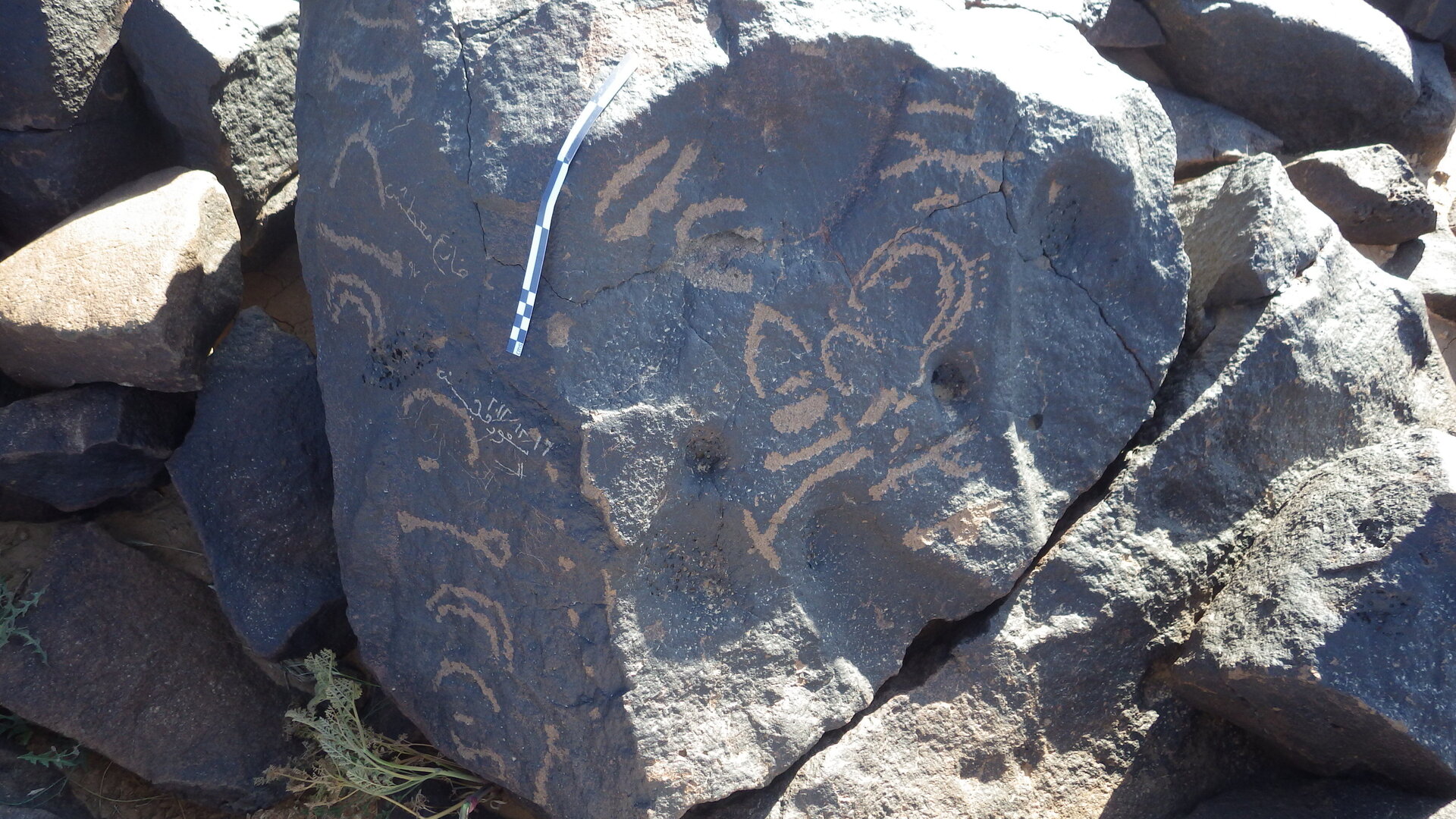 Rimg0193.jpg