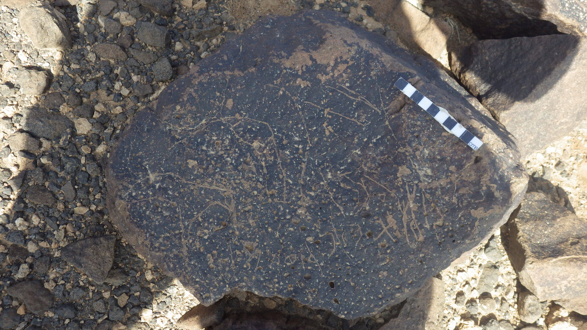 Rimg3686.jpg
