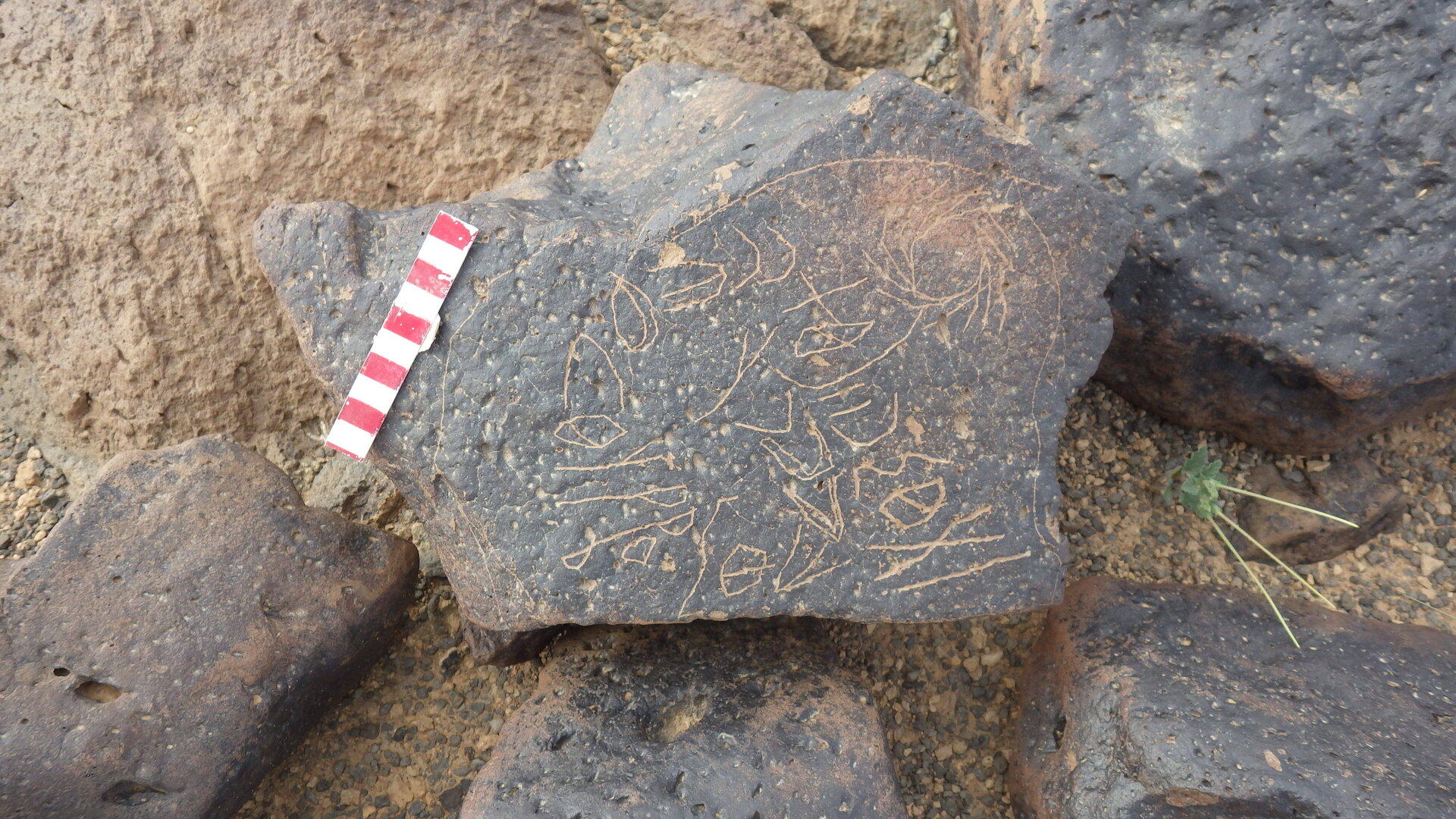 inscription of siglum BES17 1152