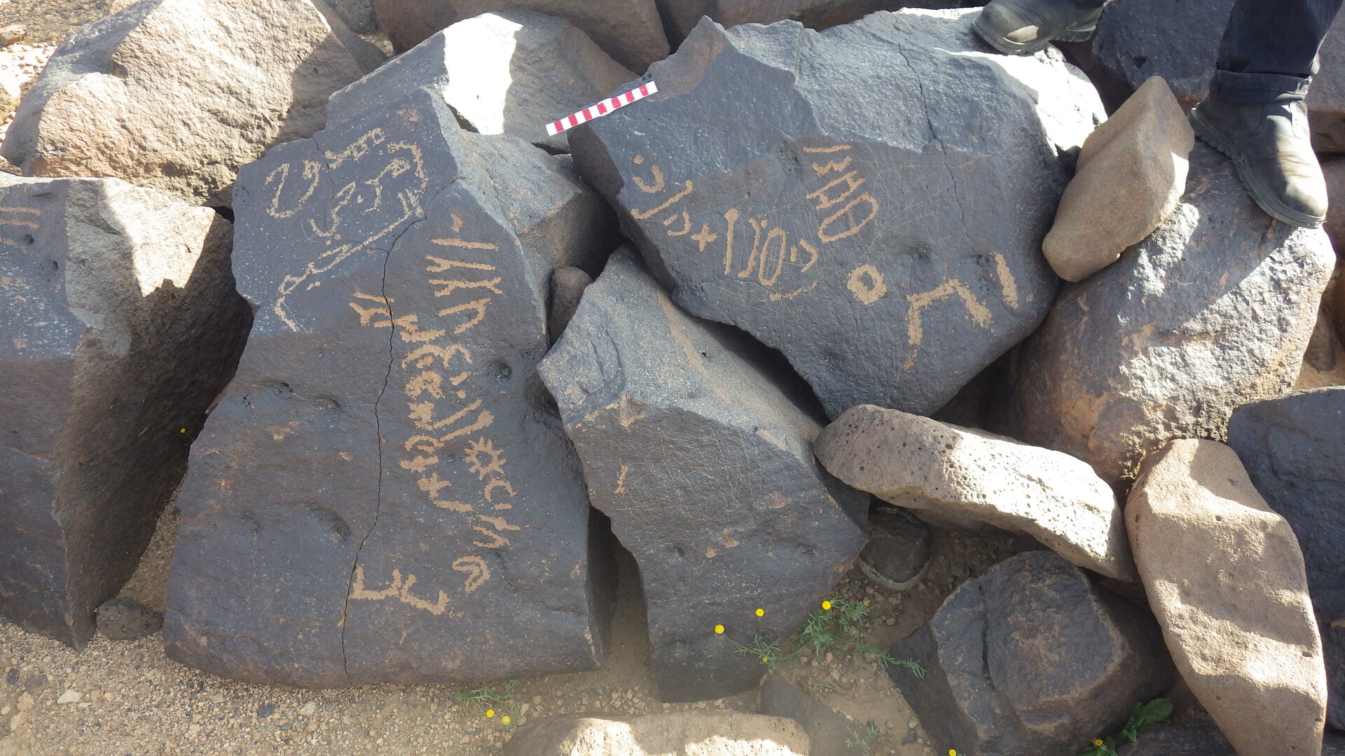 inscription of siglum BES17 203