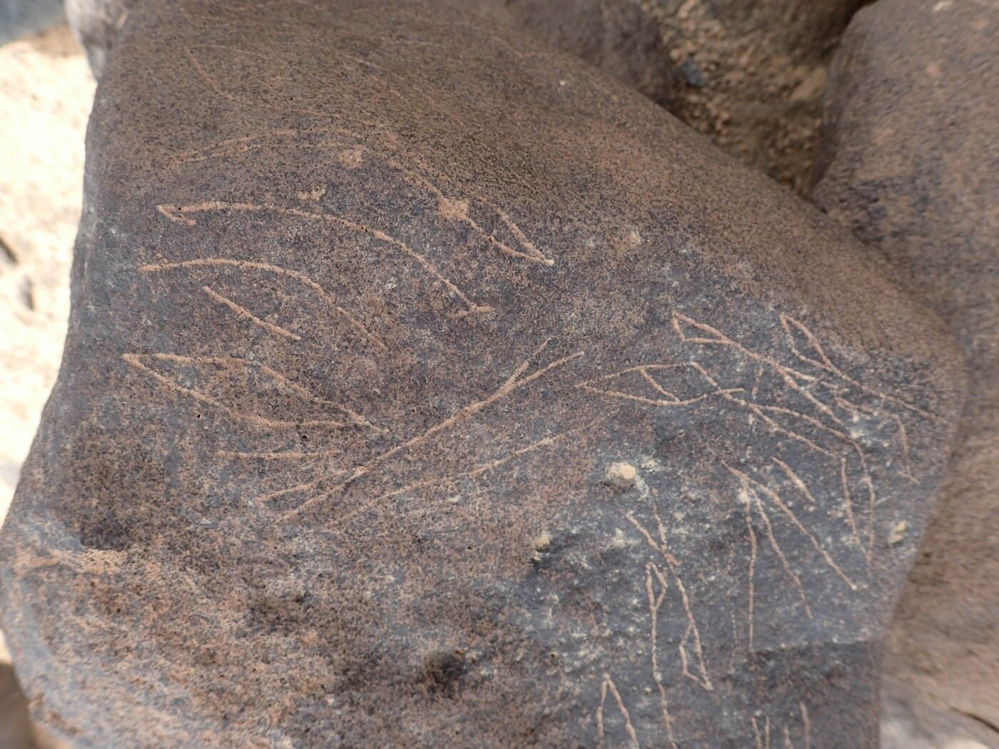 inscription of siglum BES18 1