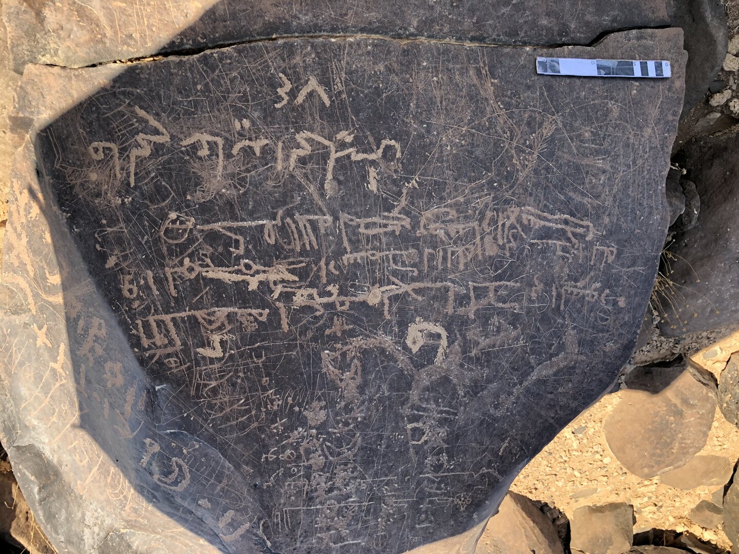 Image of BES19s 12
